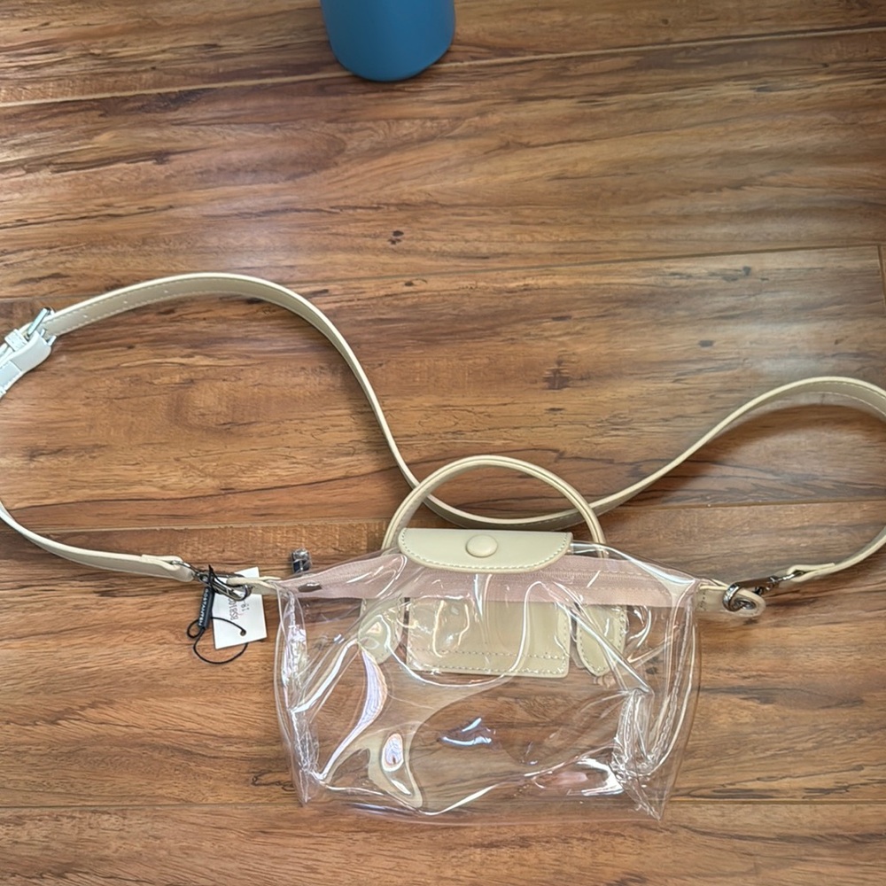 Transparent Beige Crossbody Bag
